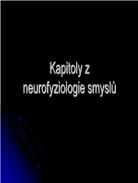 Prezentace Aplikace Powerpoint