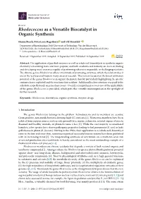 Rhodococcus As a Versatile Biocatalyst in Organic Synthesis