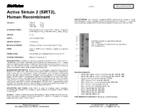 Active Sirtuin 2 (SIRT2), Human Recombinant
