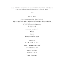 Luth Wfu 0248D 10922.Pdf
