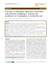 One-Step of Tryptophan Attenuator Inactivation and Promoter Swapping