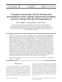 Changes in Enzymatic Activity During Early Development of Bay Scallops Argopecten Irradians and Sea Scallops Placopecten Magellanicus