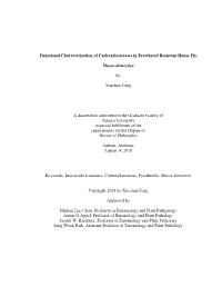 7.25.2018 Dissertation (Final Version).Pdf