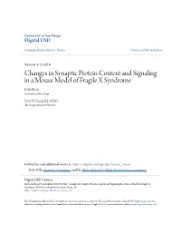 Changes in Synaptic Protein Content and Signaling in a Mouse Model of Fragile X Syndrome Kelly Birch University of San Diego