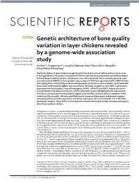 Genetic Architecture of Bone Quality Variation in Layer Chickens Revealed