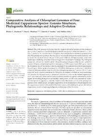 Genome Structures, Phylogenetic Relationships and Adaptive Evolution