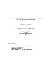 Patterns and Consequences of Competition for Pollination Between Introduced and Native Species with Different Floral Traits by B