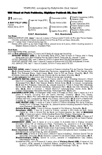YEARLING, Consigned by Ballyhimikin Stud, Ireland