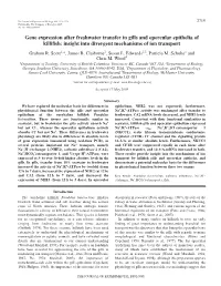 Gene Expression After Freshwater Transfer in Gills and Opercular Epithelia of Killiﬁsh: Insight Into Divergent Mechanisms of Ion Transport Graham R