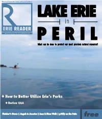 + How to Better Utilize Erieʼs Parks