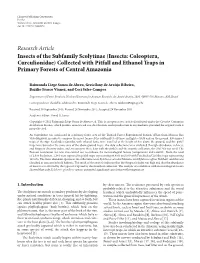 Insects of the Subfamily Scolytinae (Insecta: Coleoptera, Curculionidae) Collected with Pitfall and Ethanol Traps in Primary Forests of Central Amazonia