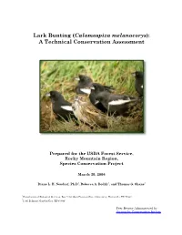 Lark Bunting (Calamospiza Melanocorys): a Technical Conservation Assessment