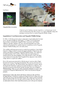 Sequalitchew Creek Restoration and Nisqually Wildlife Refuge