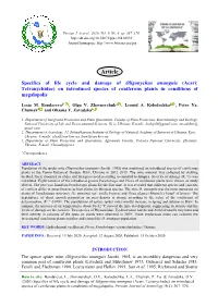 Specifics of Life Cycle and Damage of Oligonychus Ununguis (Acari: Tetranychidae) on Introduced Species of Coniferous Plants in Conditions of Megalopolis