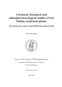 Thesis Anh Thu Pham Updated