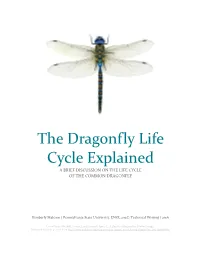 Life Cycle of a Dragonfly, and Will Be Broken Down Into Sections Based on the Chronological Life Stages of This Insect