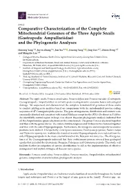 Comparative Characterization of the Complete Mitochondrial Genomes of the Three Apple Snails (Gastropoda: Ampullariidae) and the Phylogenetic Analyses