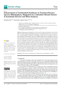 Enhancement of Xanthophyll Synthesis in Porphyra/Pyropia Species (Rhodophyta, Bangiales) by Controlled Abiotic Factors: a Systematic Review and Meta-Analysis