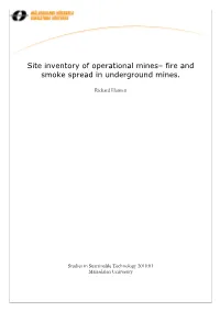 Fire and Smoke Spread in Underground Mines
