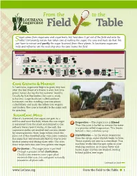 From the Field to the Table