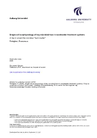 Aalborg Universitet Single-Cell Ecophysiology of Key Microbial Taxa