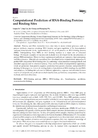 Computational Prediction of RNA-Binding Proteins and Binding Sites
