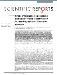 First Comprehensive Proteome Analysis of Lysine Crotonylation In