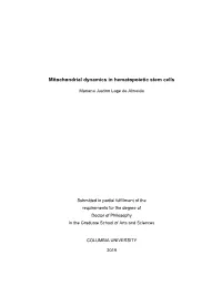 Mitochondrial Dynamics in Hematopoietic Stem Cells
