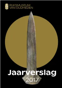 Pdf Jaarverslag 2017
