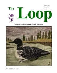 The Loopspring 2018