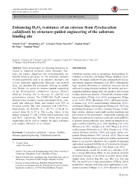 Enhancing H2O2 Resistance of an Esterase from Pyrobaculum Calidifontis by Structure-Guided Engineering of the Substrate Binding Site