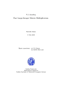 Fast Large-Integer Matrix Multiplication