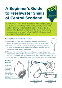 Freshwater Snail Guide