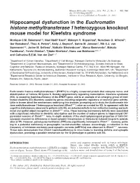 Hippocampal Dysfunction in the Euchromatin Histone Methyltransferase 1 Heterozygous Knockout Mouse Model for Kleefstra Syndrome