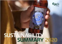 SUSTAINABILITY SUMMARY 2020 Introduction