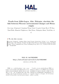 Fossils from Mille-Logya, Afar, Ethiopia, Elucidate the Link Between