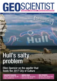 Hull's Salty Problem