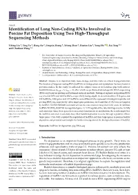 Identification of Long Non-Coding Rnas Involved in Porcine Fat