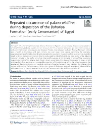 Repeated Occurrence of Palaeo-Wildfires During Deposition