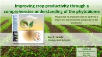 Improving Crop Productivity Through a Comprehensive Understanding Of