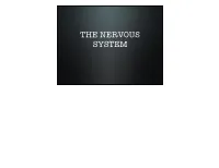 Nervous System Cns