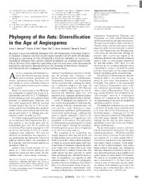 Phylogeny of the Ants: Diversification in the Age of Angiosperms