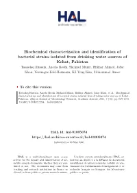 Biochemical Characterization and Identification of Bacterial Strains