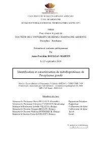 Manuscrit Thèse APM FINAL ADUM