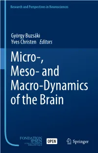 Micro-, Meso- and Macro-Dynamics of the Brain