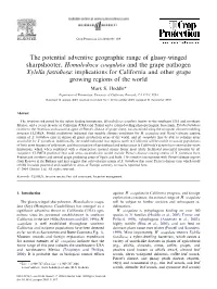 The Potential Adventive Geographic Range of Glassy-Winged