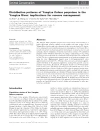 Distribution Patterns of Yangtze Finless Porpoises in The