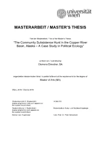 Masterarbeit / Master's Thesis