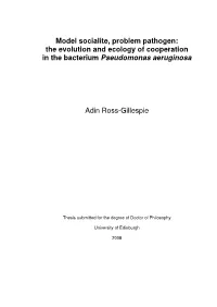 Model Socialite, Problem Pathogen: the Evolution and Ecology of Cooperation in the Bacterium Pseudomonas Aeruginosa