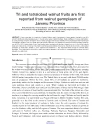 Tri and Tetralobed Walnut Fruits Are First Reported from Walnut Germplasm Of
